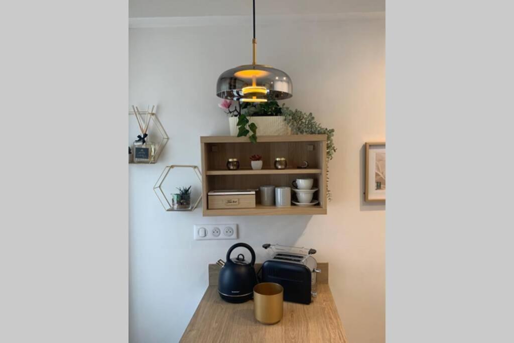 Joli Appartement Haut Standing En Hyper Centre Toulouse Exterior foto